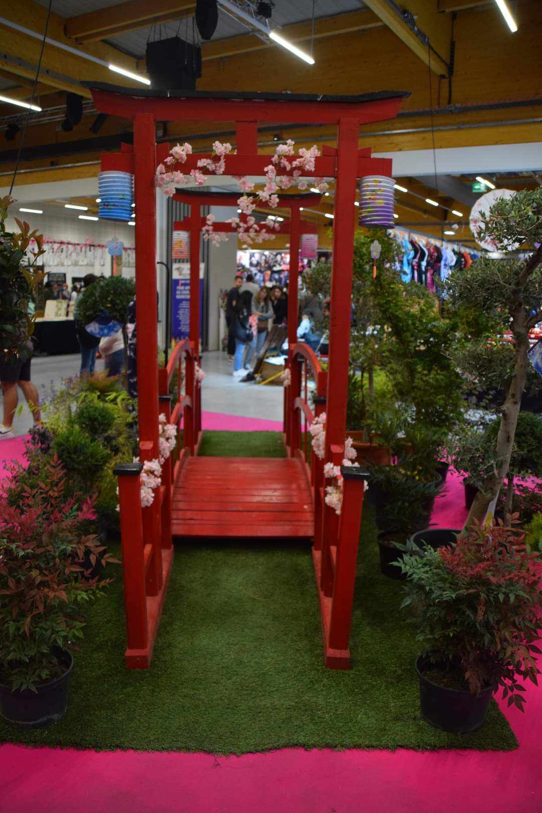 LE JARDIN JAPONAIS !